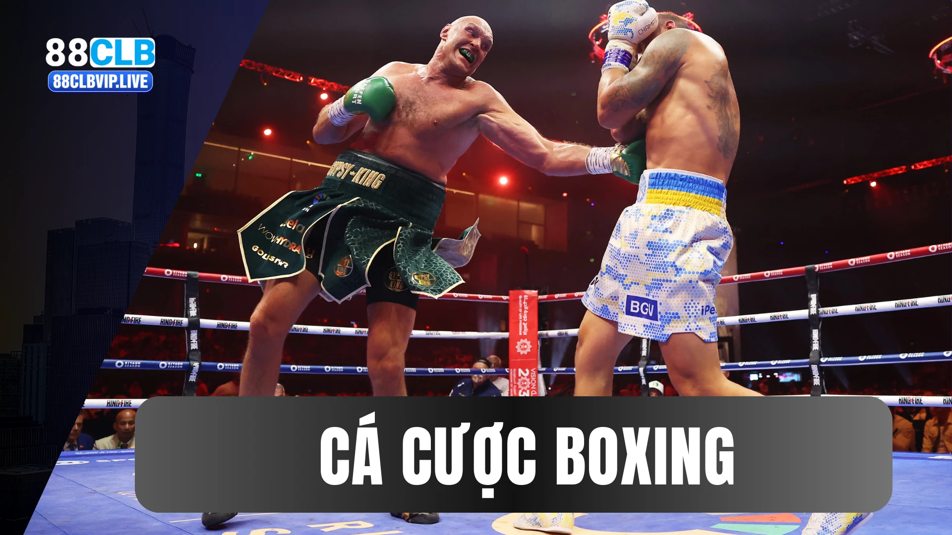 Cá cược boxing