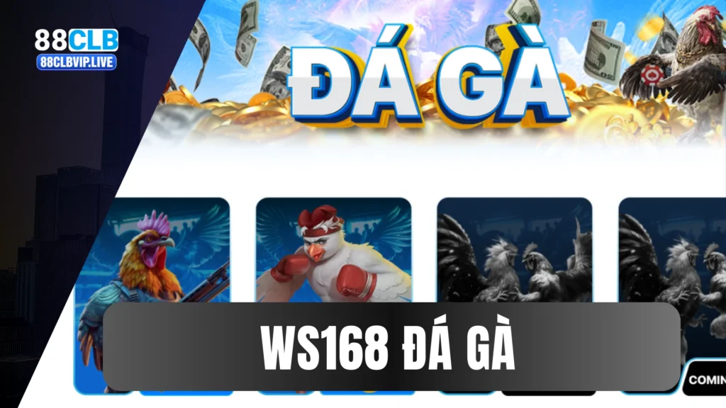 ws168 đá gà